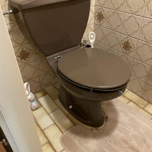 Generalsanierung Traun - BICHLER Installation & Sanitär GmbH